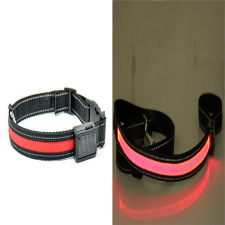 Fluorescent dog collar