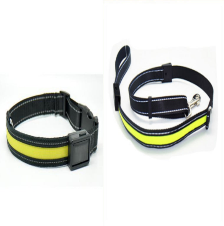 Fluorescent dog collar