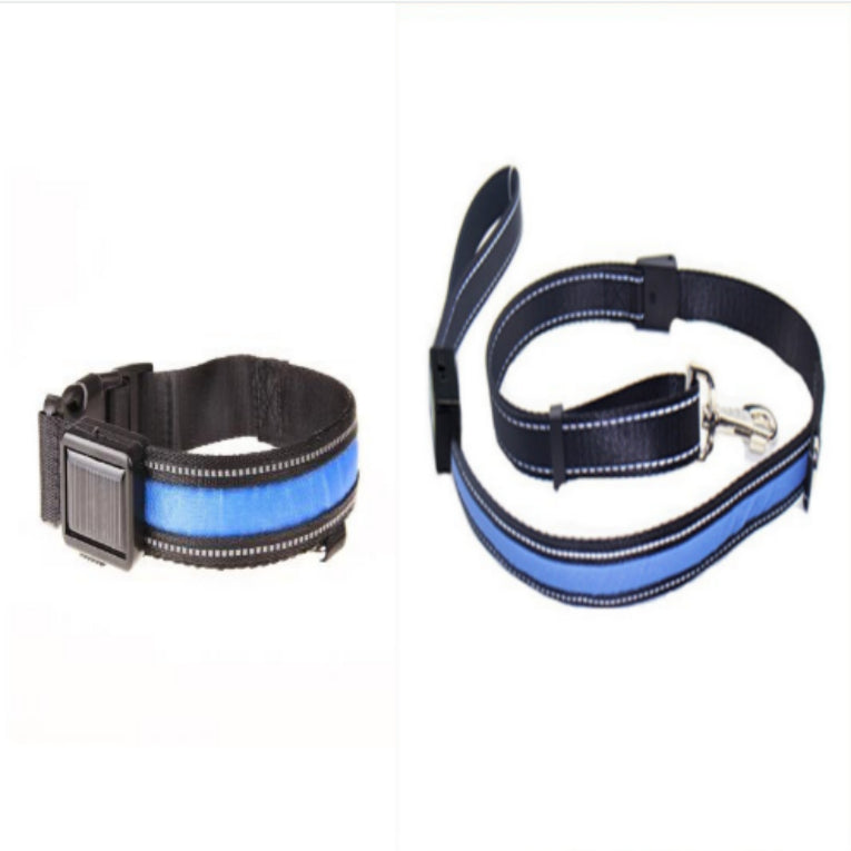 Fluorescent dog collar